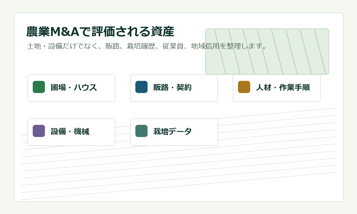 農業M&Aで評価される資産を整理した図版