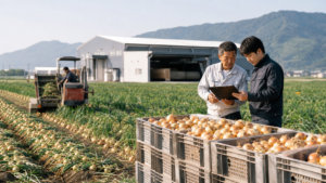 佐賀県のたまねぎ農業法人M&Aと事業承継を表す、たまねぎ畑と乾燥施設の画像